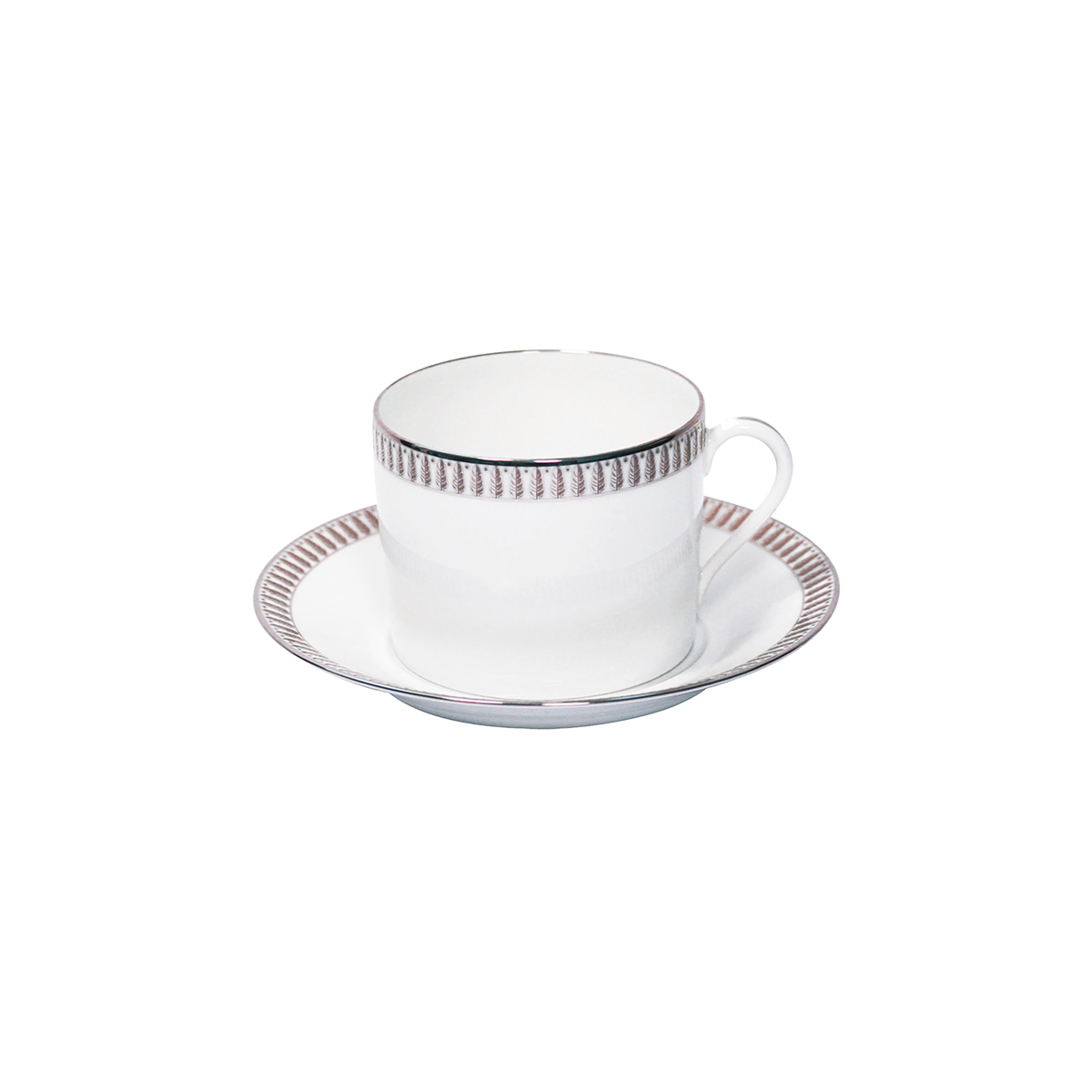 Set of 2 Cappuccino Cups and Saucers Plumes platinum