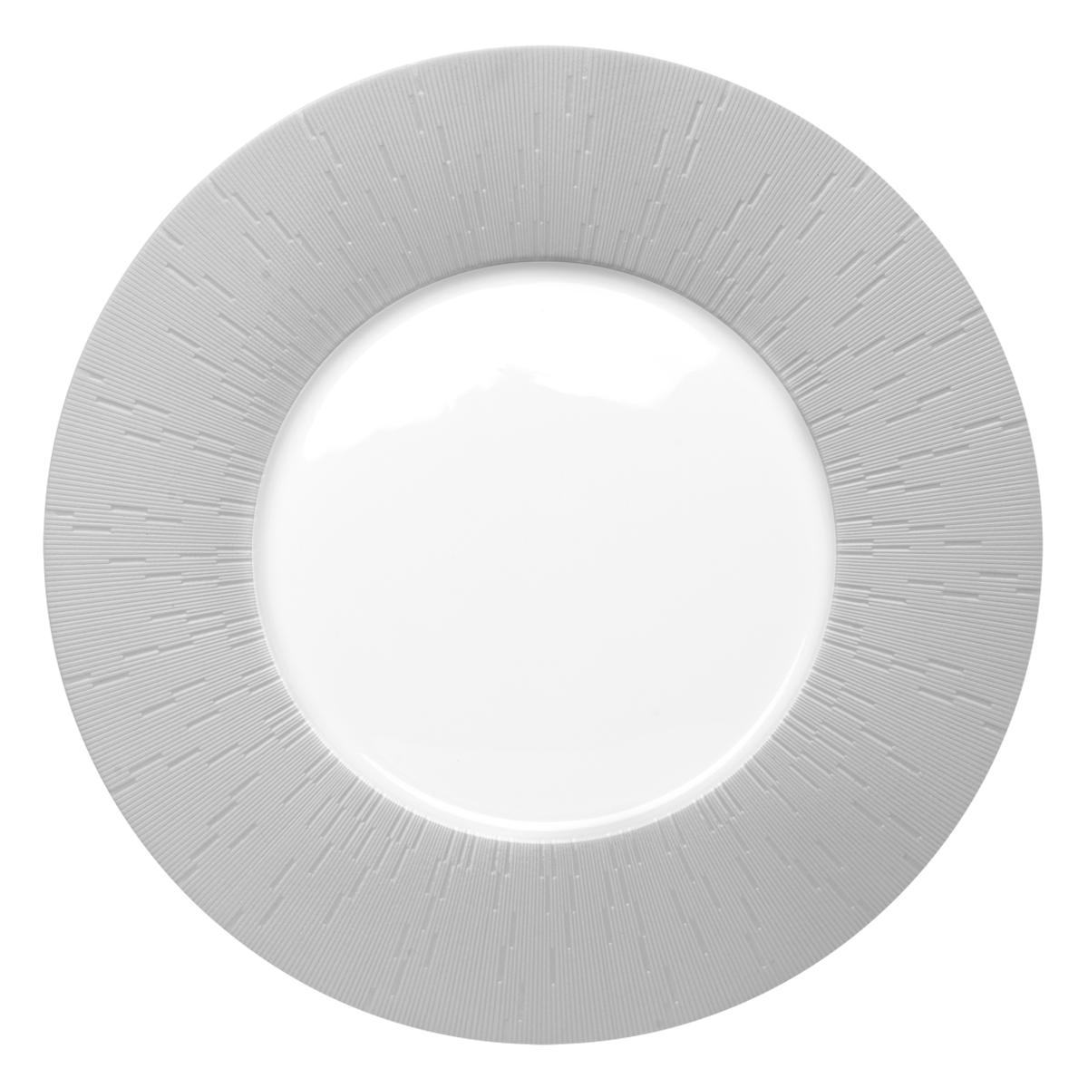 Set of 2 Large Dinner Plates Infini light gray