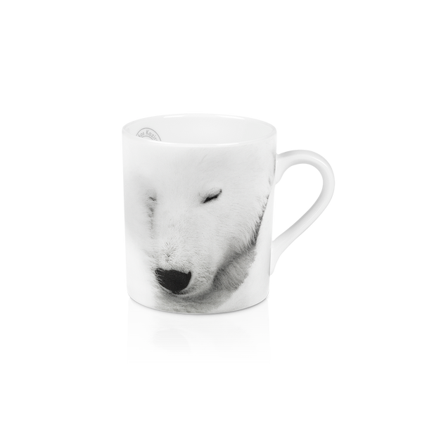 Set of 3 Mugs Arctic Emotion by Kyriakos Kaziras