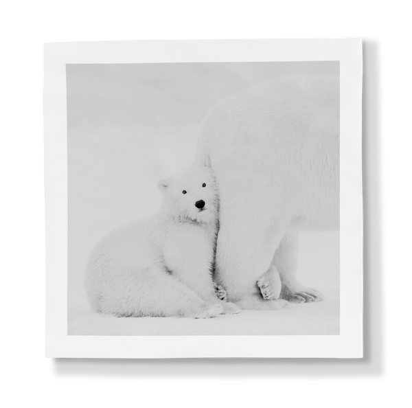 Porcelain Panel Arctic Emotion Mummy I Love You by Kyriakos Kaziras