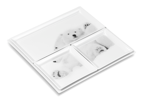 Set of 4 Trays Arctic Emotion by Kyriakos Kaziras