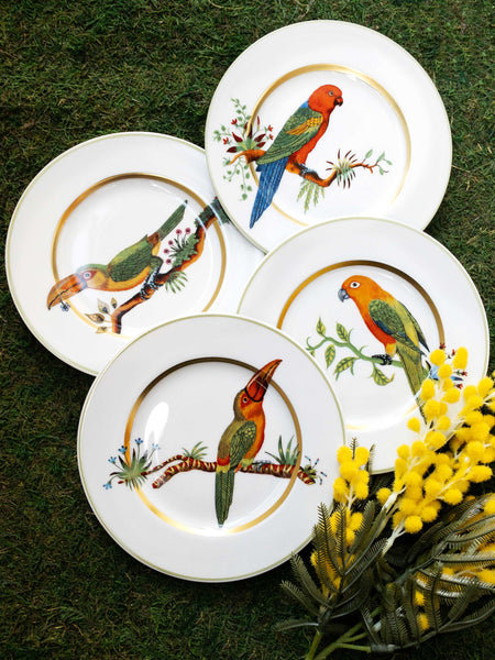 Alain Thomas Red Parrot Bread & Butter Plate