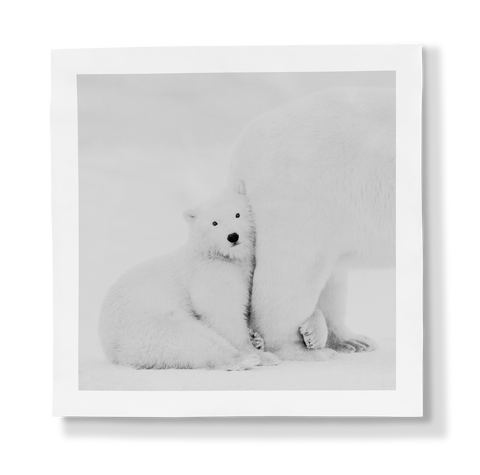 Kyriakos Kaziras Arctic Emotion Porcelain Panel - Mummy I Love You